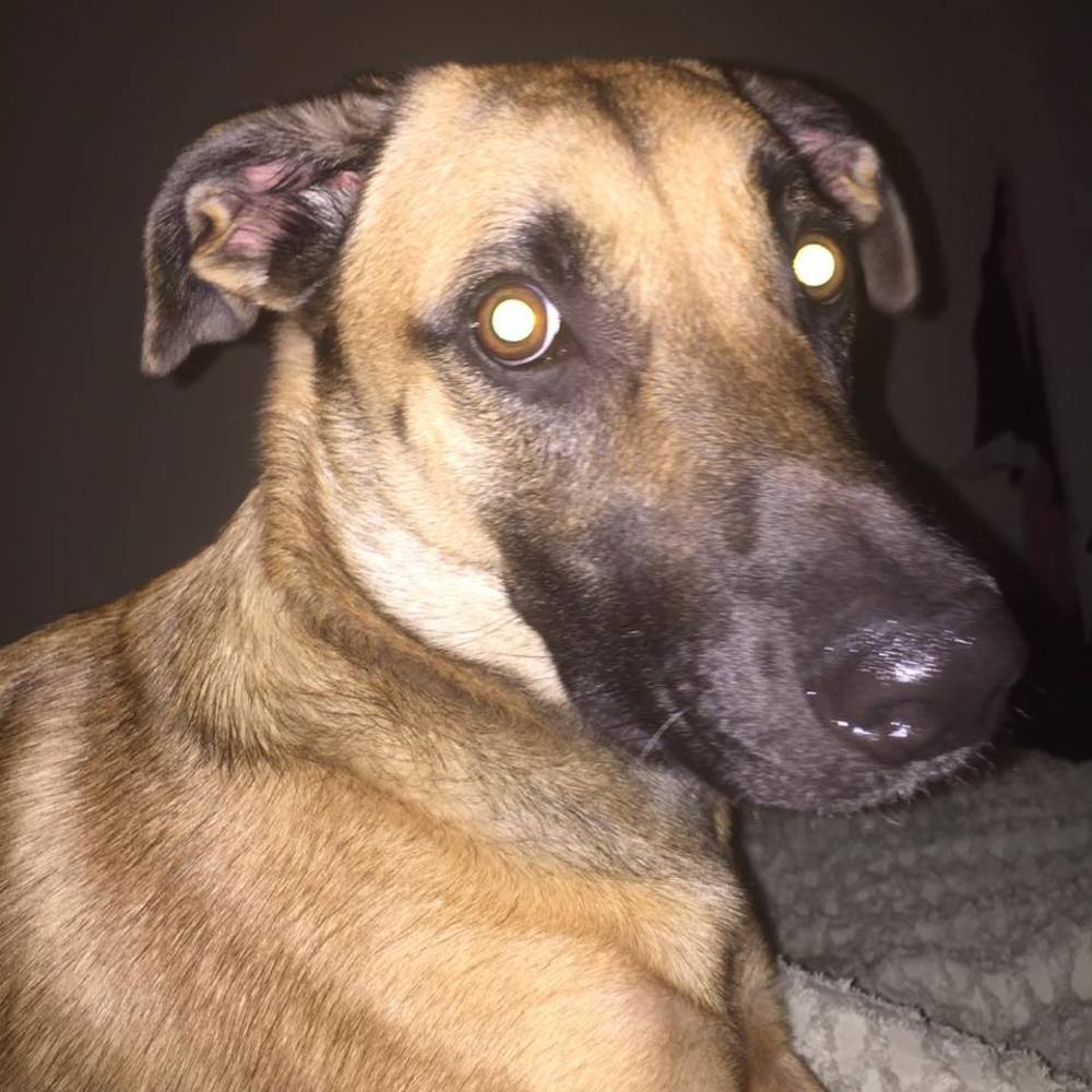 Meet your Posher, Sinead